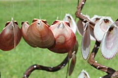 Beach Wedding Seashell Archway Mobiles 38″ ea. Sun And Moon – 2 of G-39