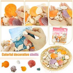 Mixed Sea Shells, 100+ Pcs Beach Seashells Starfish, Various Sizes Ocean Seas…