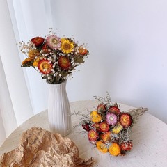 30Pcs Natural Dried Daisy Flowers Stems – Real Natural Dried Flowers