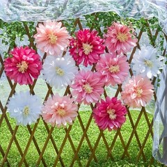 Daisy Tissue Paper Pom Poms, Wildflower Party Decorations, White and Pink pink