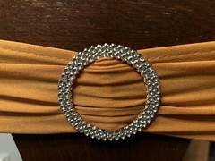 20 Lot GOLD Spandex CHAIR Sash SILVER BUCKLE SLIDER Belt WEDDING PARTY SHOWER