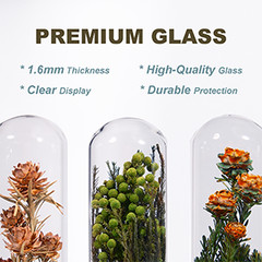 3Pcs Dried Flower Decor,Kni Knas for Shees,Cool Stuff for Bookshelf