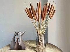 Natural Dried Cattail Flowers, 20 PCS Assorted Cattails for DIY Rustic