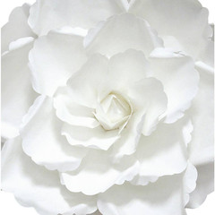 16 In. Large White Artificial Paper Rose Flower Wall Decor Backdrop (Set of 3)
