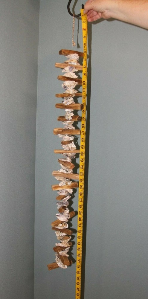 Beach Wedding DIY Archway Seashell Garland Oysters Driftwood, 33″+ G-83