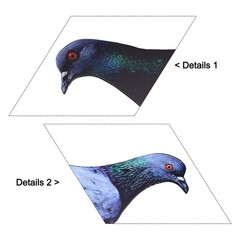 Note Outdoor Space Package Content Outdoor Package Content Garden Pigeon