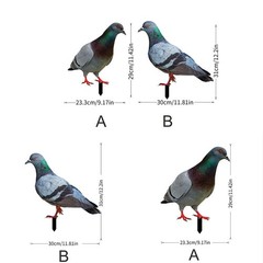 Note Outdoor Space Package Content Outdoor Package Content Garden Pigeon