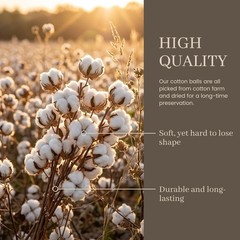 Cotton Stems 8 Pas with 15 Bolls, Natural Dried Flowers Cotton
