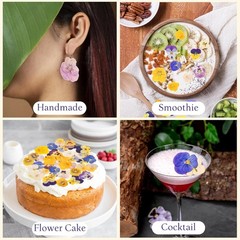 50 Pcs 10 Kinds Natural Dried Pred Edible Flowers for Cake per
