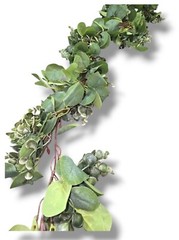 Artificial Eucalyptus Garland, 6 ft Faux Silk Eucalyptus Leaves Vines Handmade G