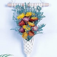 24 Pcs Natural Dried St Flowers Daisy, Oran Dried Flowers