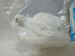 White Flocked Love Birds*Wedding Rings*Cake Topper*Real Feathers*8″ long