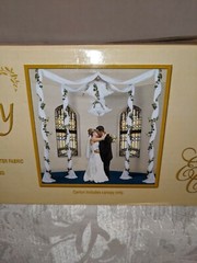 Elite Collection Celebration Canopy – Wedding Supplies #53025w Covers 32Sq. Ft.