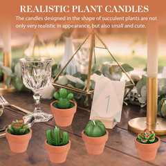 24 Pcs Succulent Candles Party Favors, Bulk Cactus Table Decor with Mini Terraco