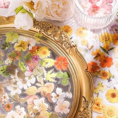 Maxleaf Pred Flower Stiers Set, 270PCS Dried Flowers Waterproof