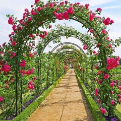 Metal Garden Arch Arbor Garden Archway for Wedding Bridal Party Festival Events