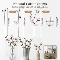 Cotton Stems 8 Pas with 15 Bolls, Natural Dried Flowers Cotton