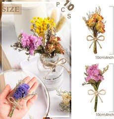 10 Pcs Mini Dried Flowers Bouquet Natural Gypsophila Don’t Fort Me Dried