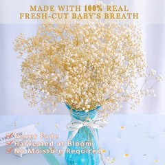 4000+ Dried Babys Breath Flowers Bulk – 17.2″ Ivory White Dried Flowers