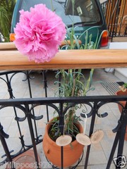 6 wooden tags from greek olive branch or other – wedding decoration -wood slice