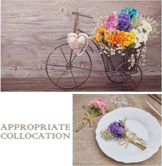 10 Pcs Mini Dried Flowers Bouquet Natural Gypsophila Don’t Fort Me Dried
