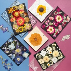 92Pcs Pred Dried Flowers for Resin, Real Assorted Natural Bulk