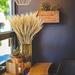 17.7 inches Dried Wheat Stalks, 100 Stems Dried Flowers Natural Wheat