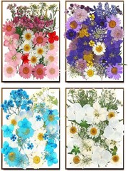 170Pcs+ Real Dried Pred Flowers Leaves Petals for Crafts-Beautiful