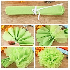 Paper Pom Poms Color Tissue Flowers Hanging Paper Fans Celebration Wedding
