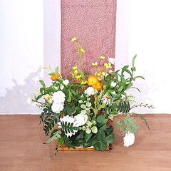 8ft ROSE GOLD Shimmer Fitted Spandex Open Arch Double Sided Backdrop STAND COVER