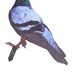 Note Outdoor Space Package Content Outdoor Package Content Garden Pigeon