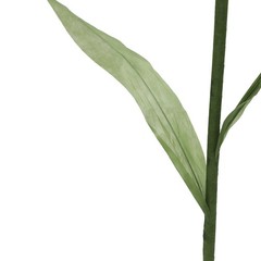 Artificial Corn Poppy Flower for Wedding Decoration, Birthday Party Banquet