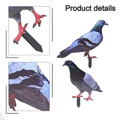 Note Outdoor Space Package Content Outdoor Package Content Garden Pigeon