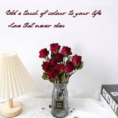 Toot Natural Dried Flowers Bouquet, 10 Pcs Red Dried Roses Bouquet for
