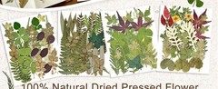 110+ Pcs Dried Flowers Leaves for Crafts, Real Pred Flowers Dry Leaves