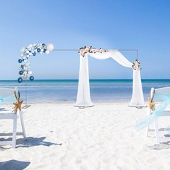 19.7*9.8ft Garden Arch For Wedding Bridal Party Decoration Prom Flower Stand