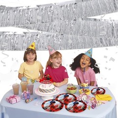 Silver Foil Fringe Garland 10FT 2packs, Metallic Foil Tinsel Fringe Banners f…
