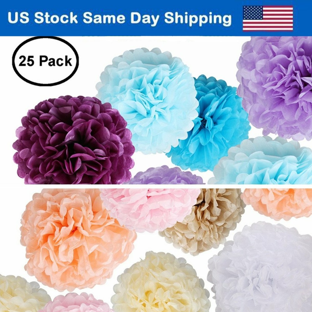 25 Pcs Tissue Paper PompomsHanging Paper Flowers Ball for Birthday Party Decor