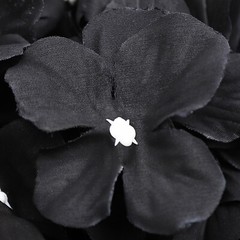6PCS 60*40cm Artificial Flower Wall Panels for Gardens Parties Decor Backdrop