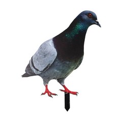 Note Outdoor Space Package Content Outdoor Package Content Garden Pigeon