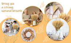 17.7 inches Dried Wheat Stalks, 100 Stems Dried Flowers Natural Wheat