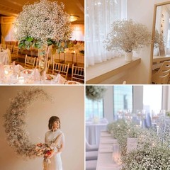 4000+ Dried Babys Breath Flowers Bulk – 17.2″ Ivory White Dried Flowers