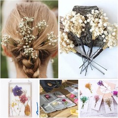 50Pcs Mini Dried Baby’s Breath Flowers, 6” Natural Ivory White Flowers
