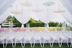 Wedding Ceiling Drapery, Wedding Backdrops, Ceiling Drapes, 10′ x 15′, 5 COLORS