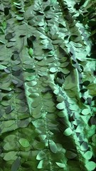 Round Green Leaf Drape Backdrop Enchanted Forest Fairy Wedding Event Deco 10 Ft