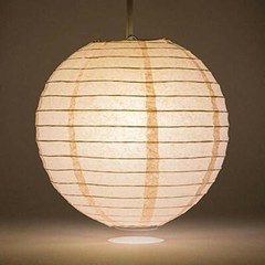 Quasimoon PaperLanternStore Decorative Paper Lantern – (Single, 14-Inch, Rose…