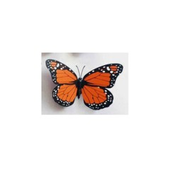 3D Colorful Artificial Butterflies Set PVC Craft Wedding Party Floral Decor Gift