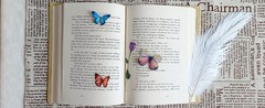 Butterfly Floral Stiers Bulk – 320 Pcs Transparent Realistic