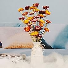 24 Pcs Natural Dried St Flowers Daisy, Oran Dried Flowers