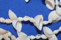 Valentines Day Gift Seashell Home Decor Long Seashell Garland, 96″+ G-94